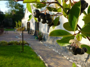 Aronia Park
